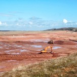 Bei der Gewinnung von Endabdeckmaterial (Rotliegendes) werden im Tagebau Ostfeld künftige Biotopinseln stehen gelassen