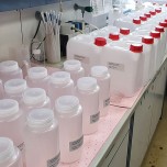 Wasserproben im Labor Aue