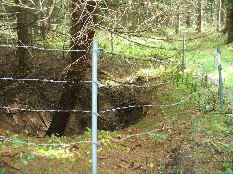 Bruchtrichter mit Asperrung im Wald