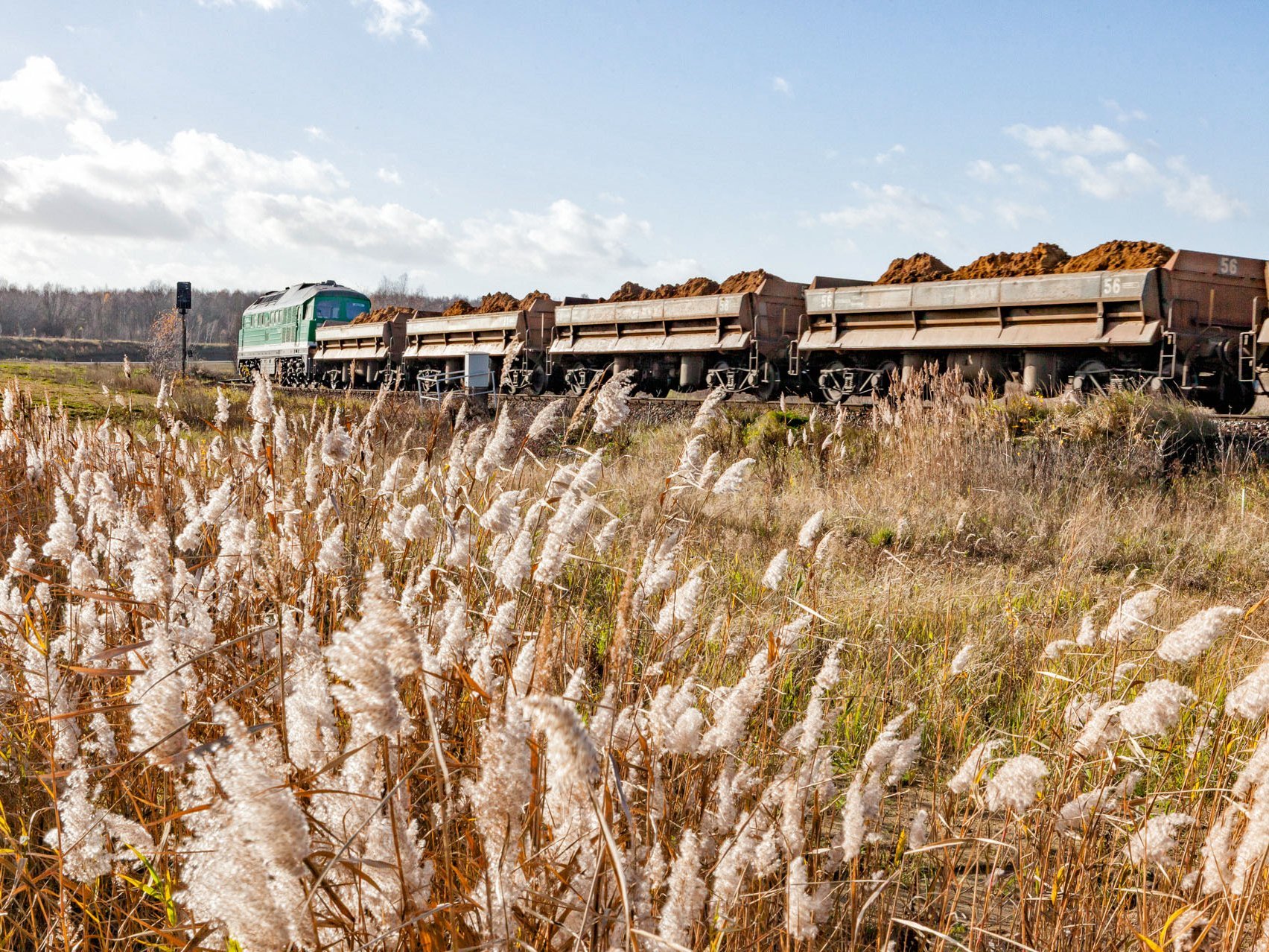 Teil eines Zuges mit Lok und drei Wagons. Am Gleisrand herbstliche Graslandschaft.