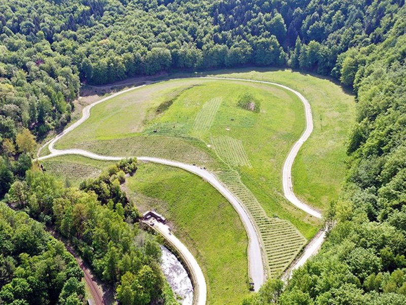 Begrünte Anlage