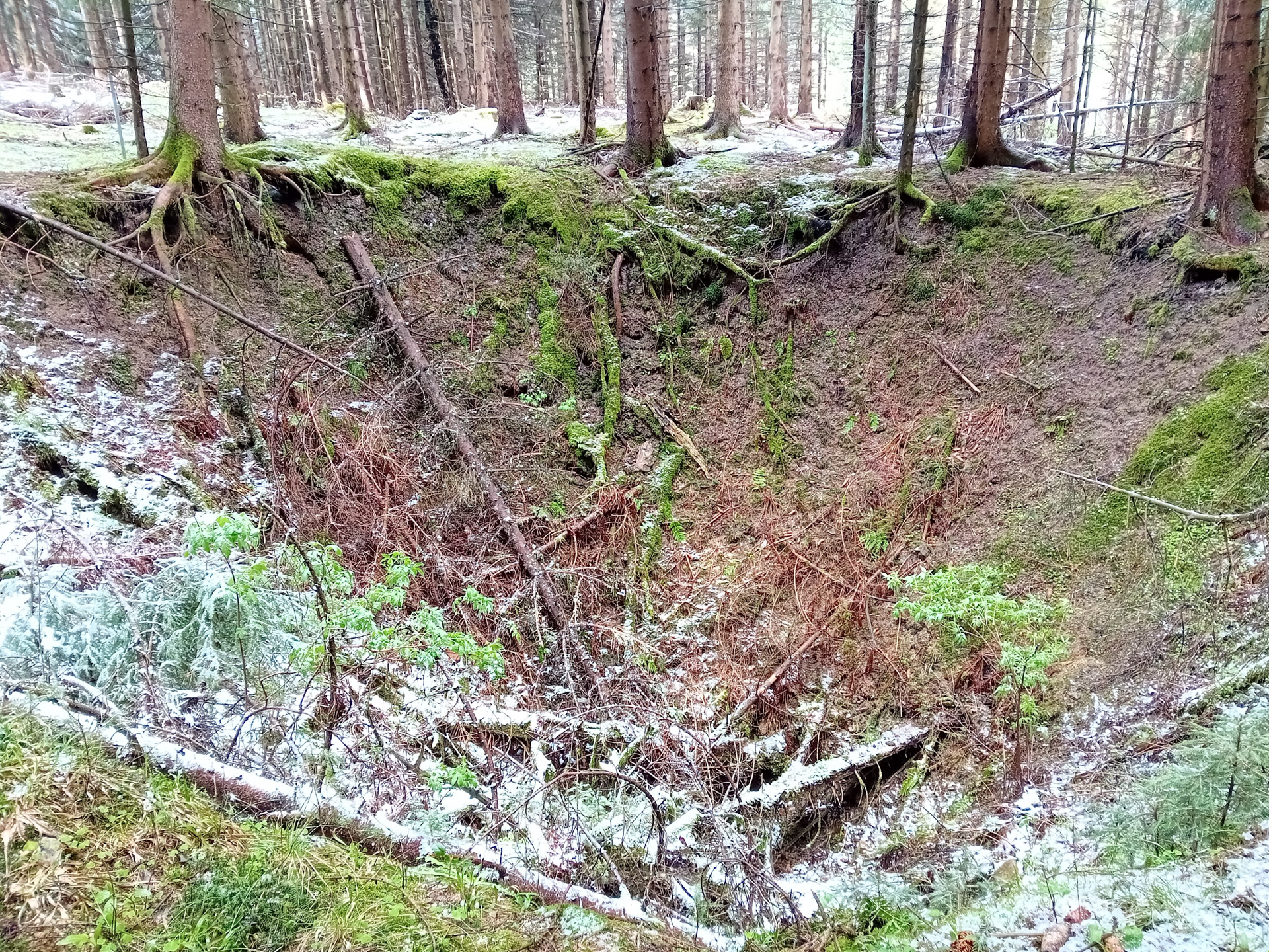 Trichterförmiger Einbruch im Wald